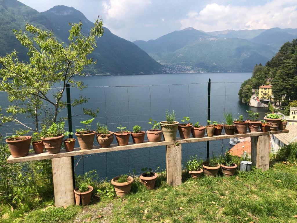 Gli Orti Della Civera " Cottagecore" Amazing View เนสโซ ภายนอก รูปภาพ
