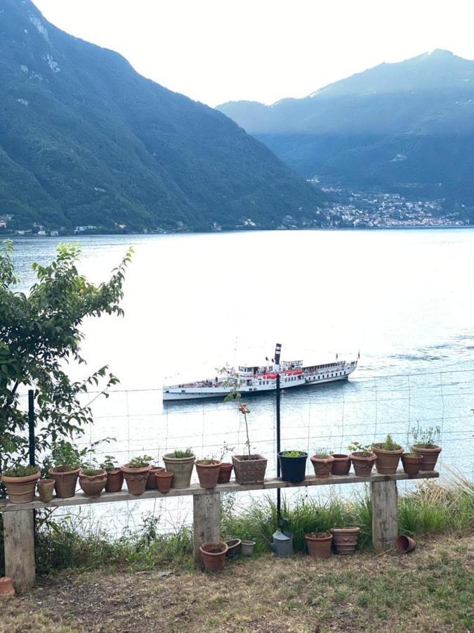 Gli Orti Della Civera " Cottagecore" Amazing View เนสโซ ภายนอก รูปภาพ